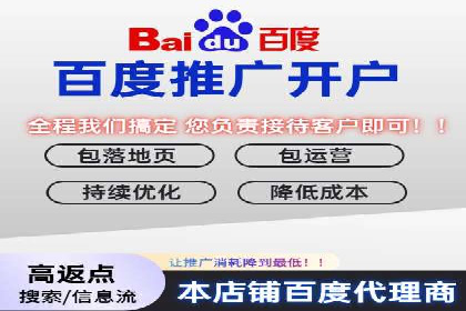 百度推广在电商行业的成功案例